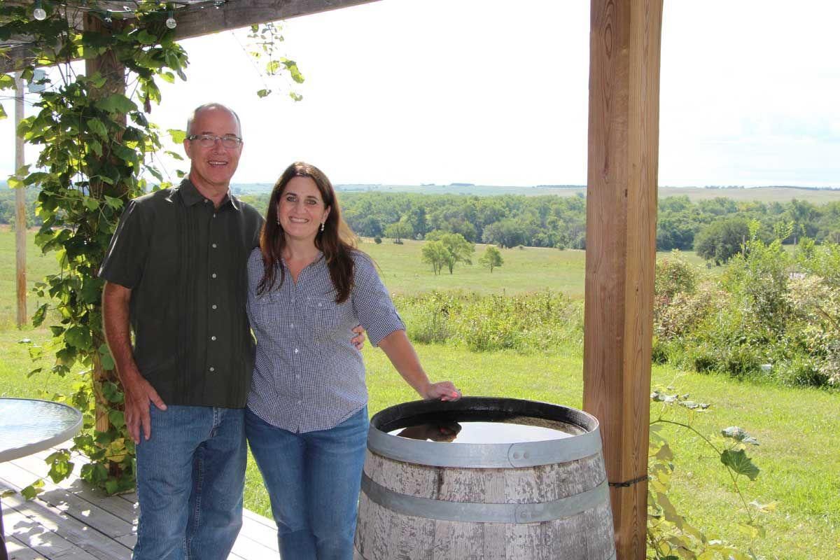 schutzes-ravenna vineyard.jpg